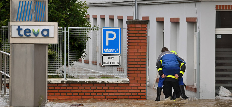 Ruszyli na ratunek ludziom i zwierzętom. Czescy strażacy pomogli nawet papudze