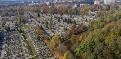 Wszystkich Świętych w Krakowie. Poradnik Faktu