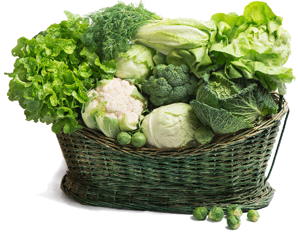 Leafy green vegetables like spinach, kale, broccoli contain nutrients [ece-auto-gen]