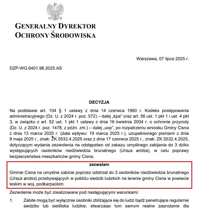 Zezwolenie na odstrzał 3 niedźwiedzi w Polsce - lipiec 2025 r.