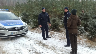 Masz taką choinkę? Uwaga, kara może być bardzo dotkliwa