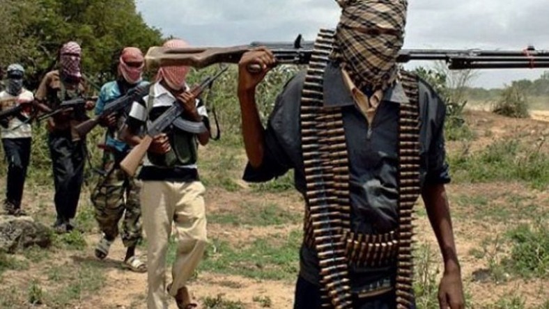 Bandits kidnap 17 persons in Niger state on Saturday, January 16, 2021 (TheNation)