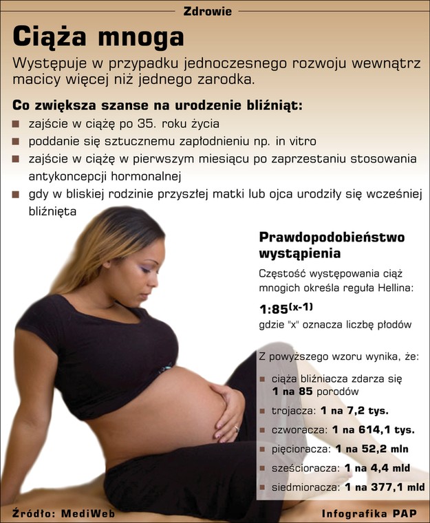 Ciąża mnoga infografika