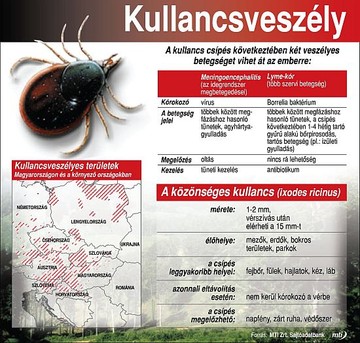 kullancs-terkep-d0000111D92ab80442a3e