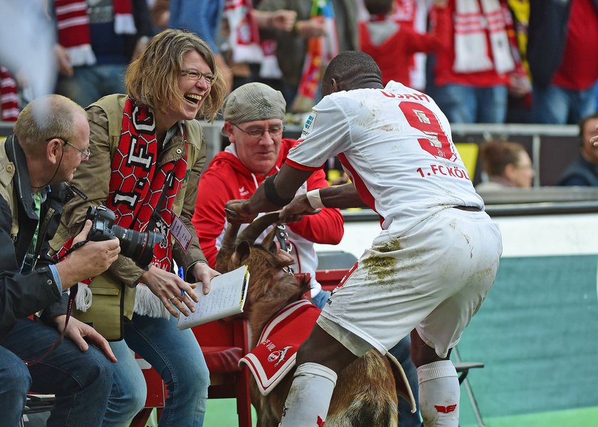 Anthony Ujah świętował bramkę z kozą! Obrońcy zwierząt wściekli!