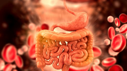 Gdy jelita chorują, cierpi cały organizm. Jak zadbać o jelita?