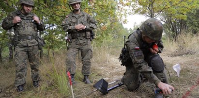 Koniec saperskich robót nad "złotym pociągiem"