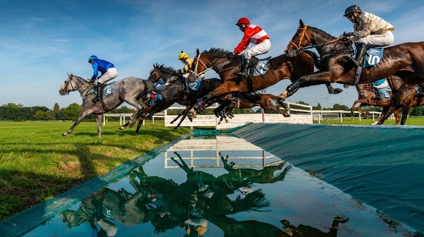 Rów z wodą na wrocławskich Partynicach. FOT. WIKTOR RZEŻUCHOWSKI.