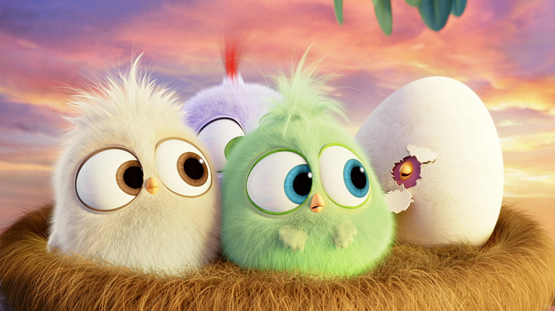 "Angry Birds": kadr z filmu