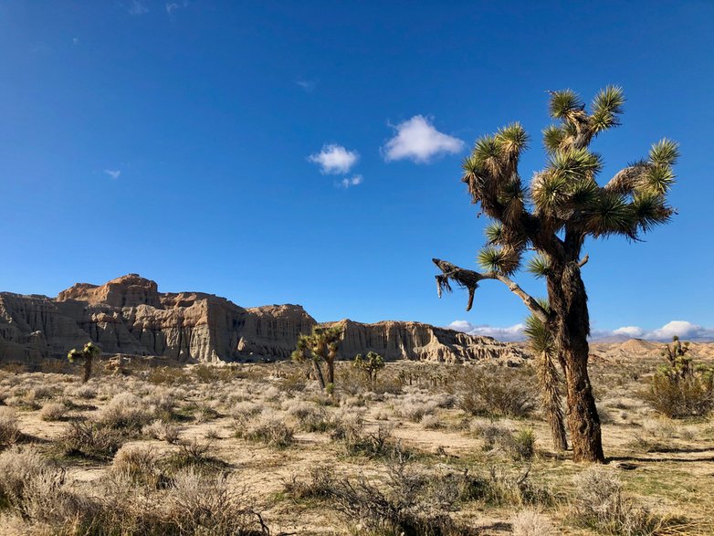 Park Stanowy Red Rock Canyon