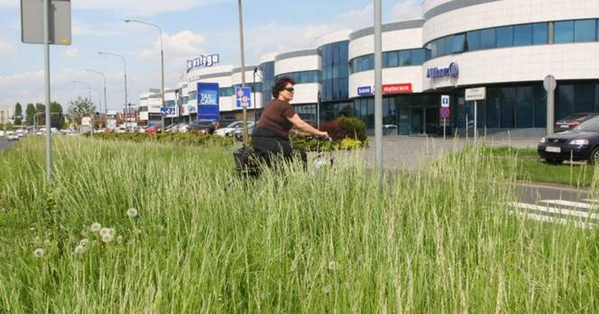 Nowy system koszenia traw w Opolu - Wiadomości