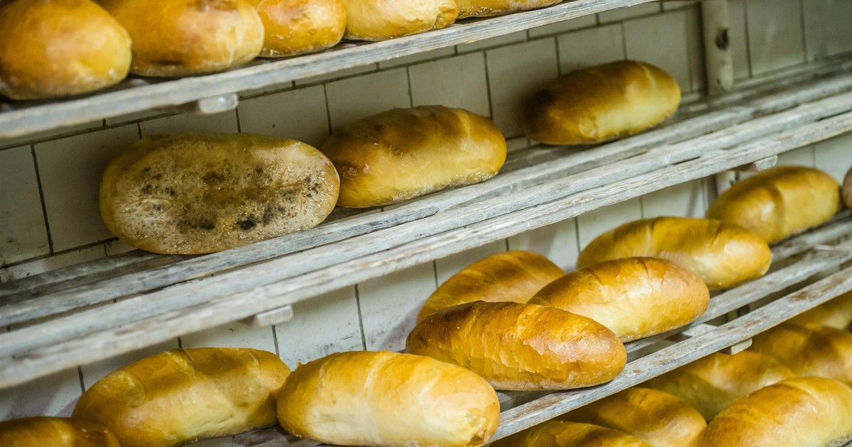 Renomowana sieć piekarni walczy o przetrwanie. Złożono wniosek o upadłość