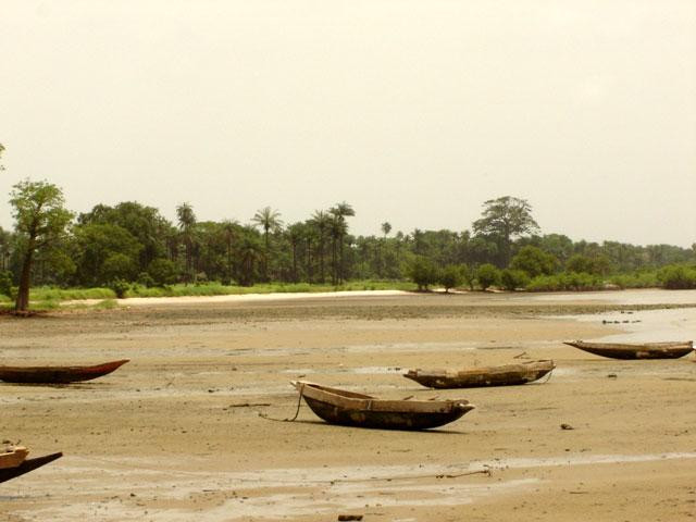 Galeria Gambia, obrazek 28