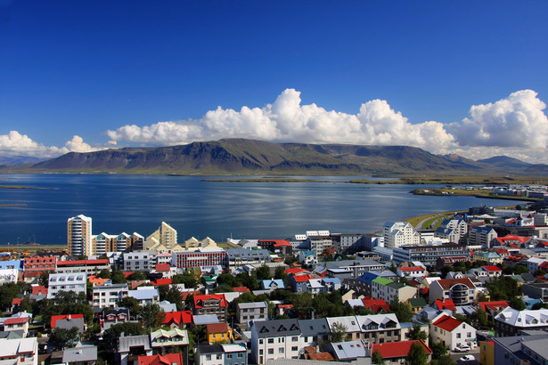 Islandia jest członkiem Europejskiego Stowarzyszenia Wolnego Handlu - EFTA. Jako państwo kandydujące do UE weszła też do Strefy Schengen. Jest ponadto członkiem NATO.