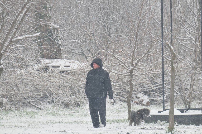 novi sad sneg mart foto Robert Getel