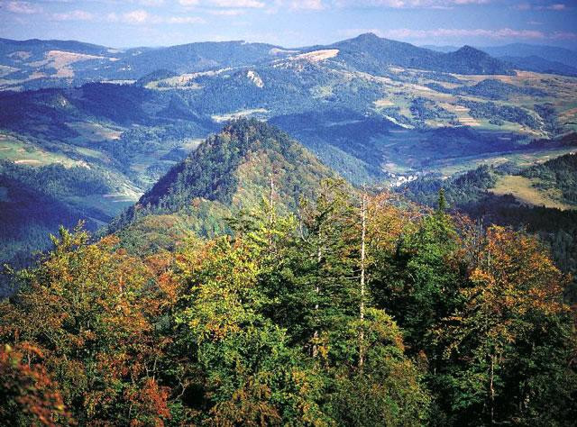 Galeria Polska - Pieniny, obrazek 2