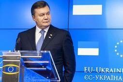 Wiktor Janukowycz. Prezydent Ukrainy