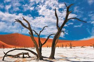 Deadvlei (tzw. martwe bagno) w parku Namib-Naukluft w Namibii