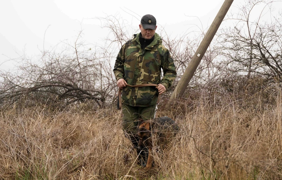 Potraga za nestalom Dankom Ilić