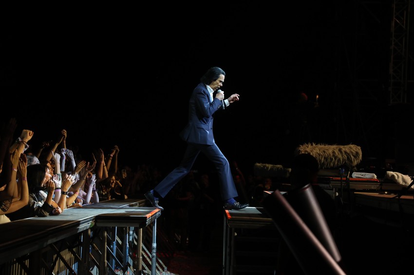 novi sad exit egzit festival nik kejv