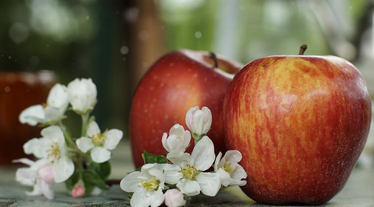 Citrom helyett próbáld ki az almát! Fotó: Getty Images