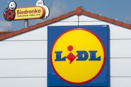 Lidl i Biedronka biją się o melomanów. Sprzedaż płyt winylowych w Polsce wystrzeliła