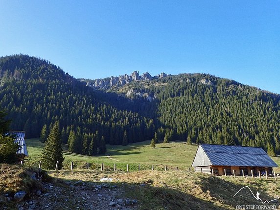 Mnichy Chochołowskie (ok. 1500 m n.p.m)