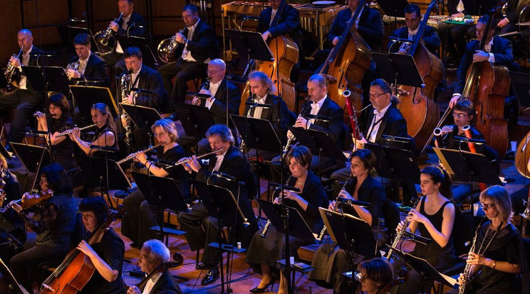 Online koncertek a Nemzeti Filharmonikusokkal / Fotó: Berényi Gyula 