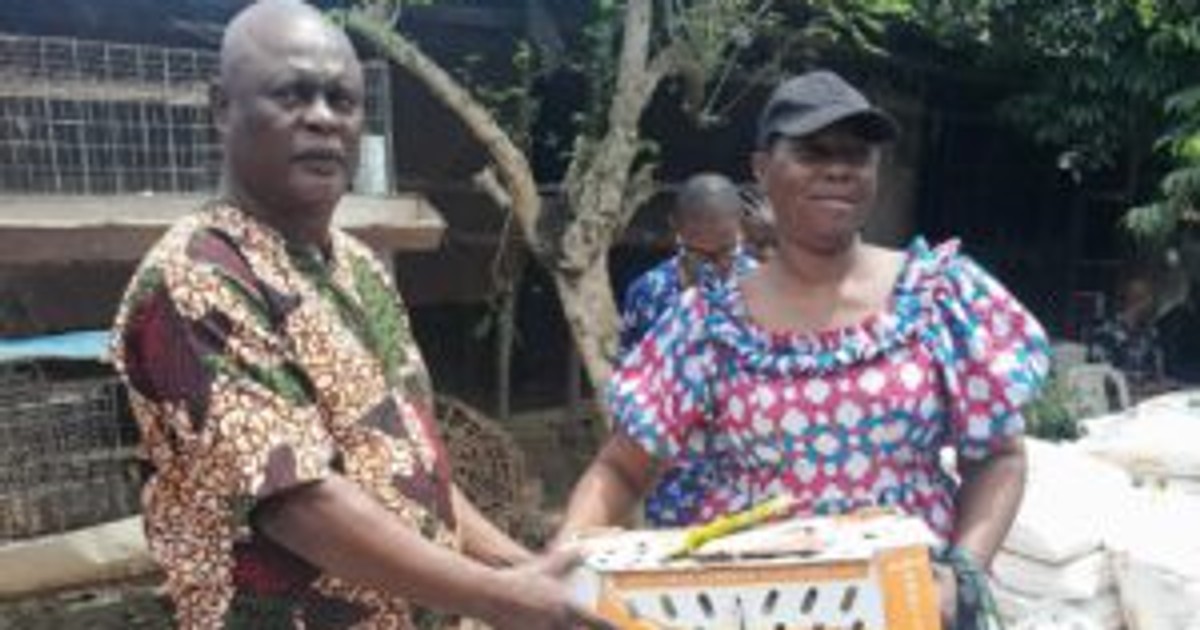 World Bank supports 6,062 Lagos farmers with agric inputs, assets - Vimarsana News