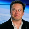 Szał na akcjach Twittera. Elon Musk największym akcjonariuszem. "W grę wchodzi wykup spółki"