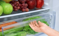 Jak dobrze przechowywać żywność w lodówce?