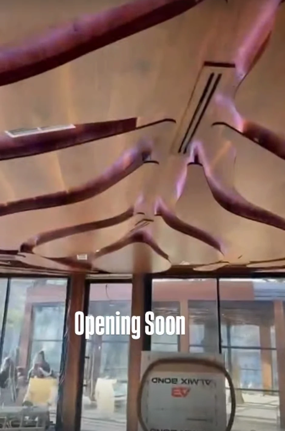 Dečko Jovane Jeremić pokreće biznis