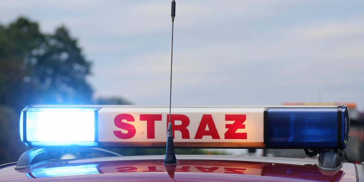 siestrzeń wypadek polski bus