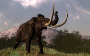 Po zniknięciu dużych roślinożerców sawanny zaczęły płonąć