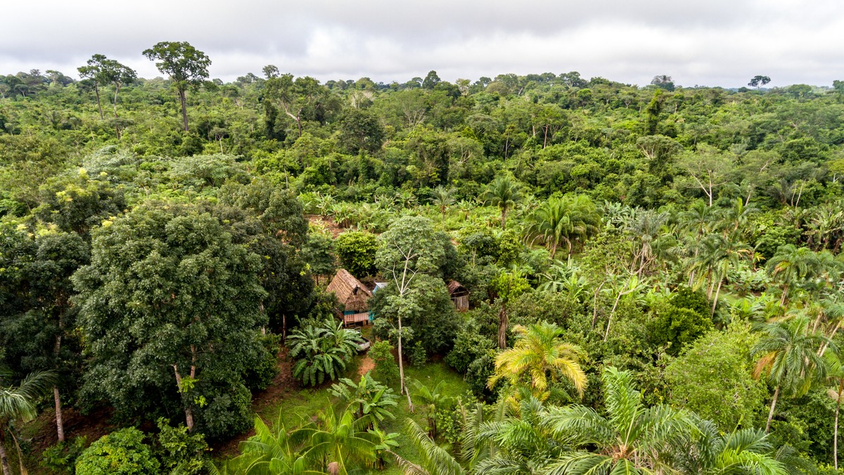 Amazonia, Brazylia: aktywista Guajajara zamordowany przez gang drwali