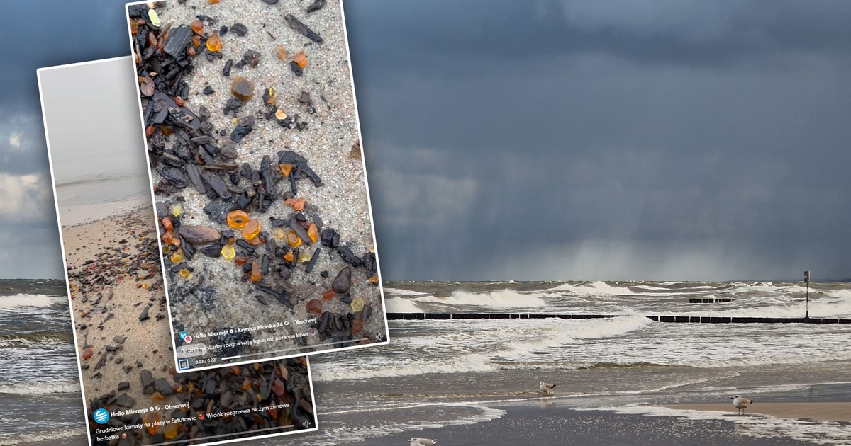 Nagranie z plaży w Sztutowie rozgrzało internautów. Nie wierzą, że to może być prawda