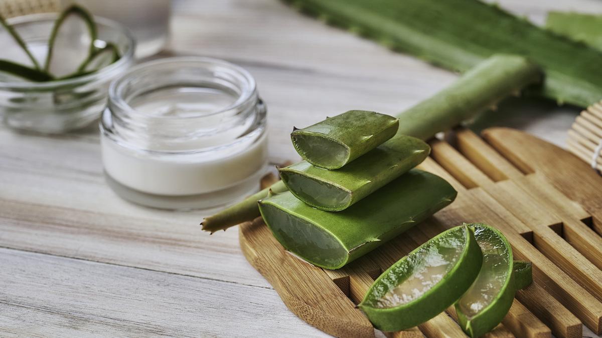 Aloe vera diéta: pillanatok alatt leszedi a hasi zsírt