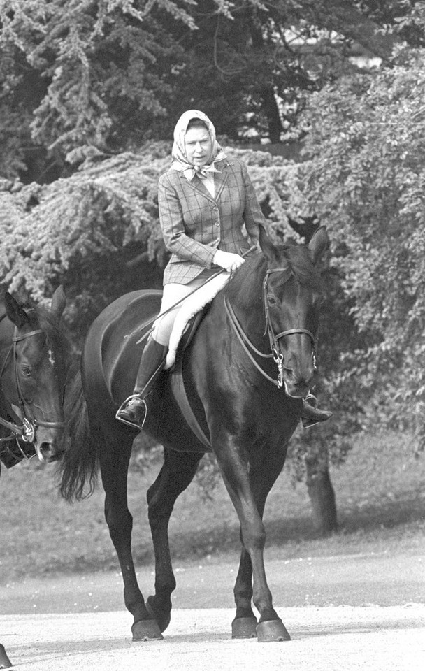 Królowa na koniu w 1982 r.