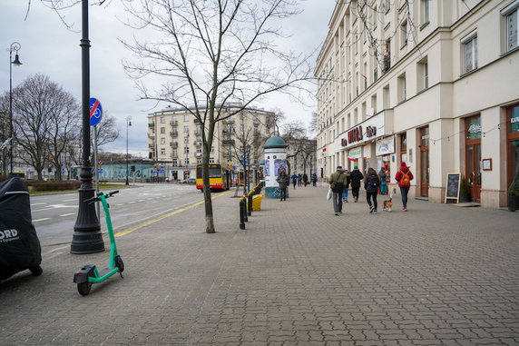 Plac Wilsona w Warszawie będzie bardziej zielony. Chcieli tego mieszkańcy!
