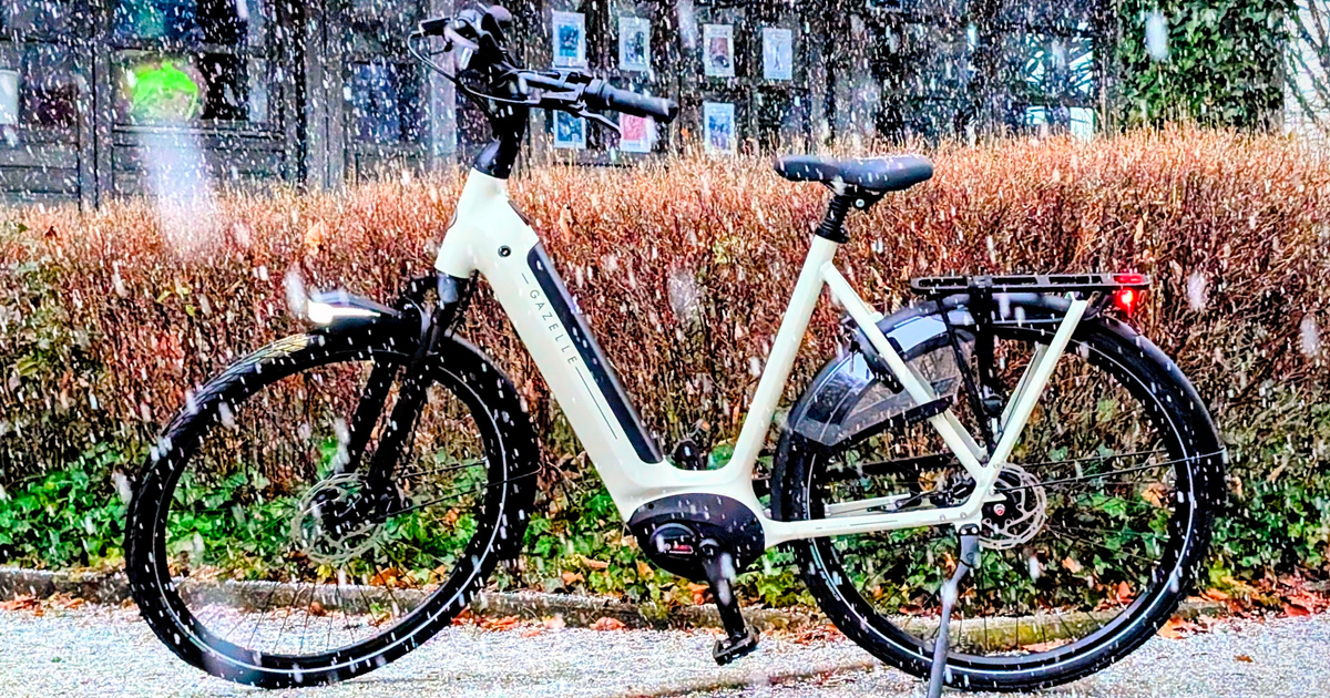 Top 10: Das beste E-Bike für Damen Herren – bequeme