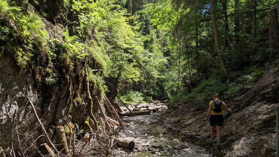 Sucha Bela – szlak przez najpopularniejszy wąwóz w Słowackim Raju ...