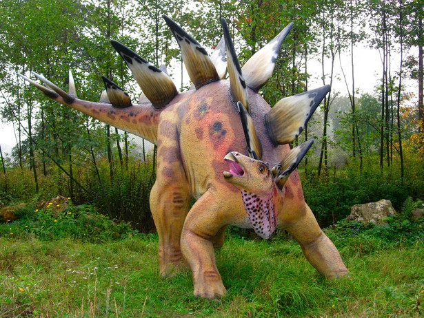 Model stegozaura naturalnej wielkości, w Parku Jurajskim w Bałtowie. źródło Wikipedia, licencja GFDL ver. 1.2 or CC-by-sa ver. 2.5, 2.0, and 1.0