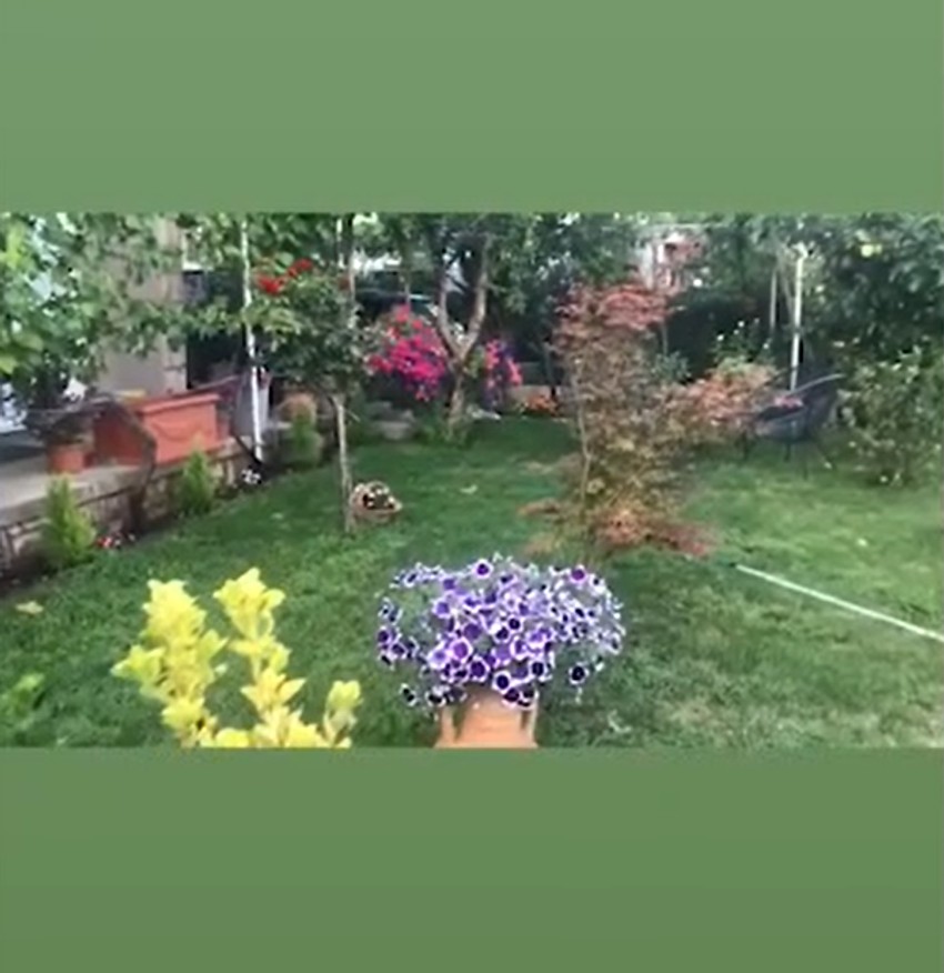 Nataša Ninković, imanje