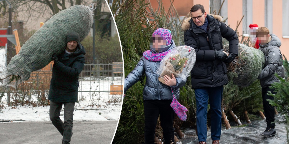 Tusk i Morawiecki kupili już świąteczne drzewka. 