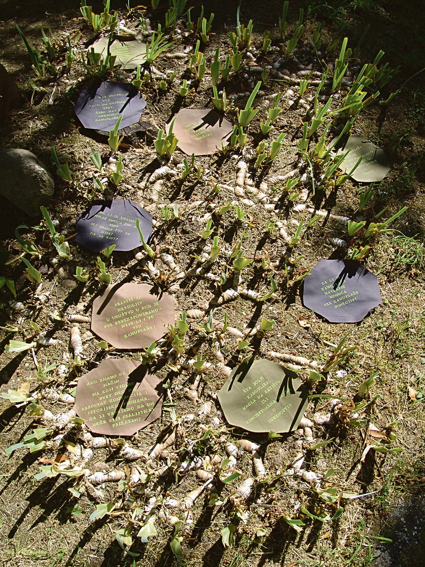 Nedovršena forma broj  3