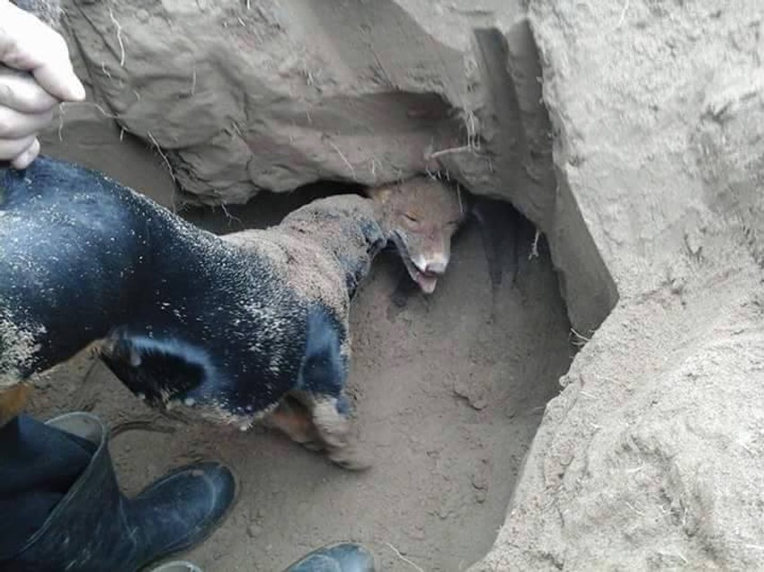 Slike mučenja javno obelodanio