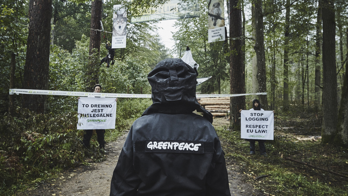 Dzisiaj w nocy aktywiści z Greenpeace i Obozu dla Puszczy zeszli z obu blokad, na których protestowali przeciwko wycince i wywózce drzew z Puszczy Białowieskiej. Trwający od ponad tygodnia protest został zawieszony.