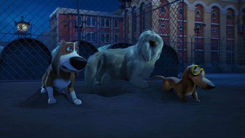 'Ozzy' w kinach od 3 marca