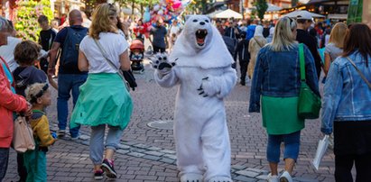 Kończy się wielki biznes cwanego misia z Krupówek. Może go zaboleć