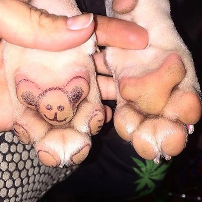 Milky kidekorált tappancsa